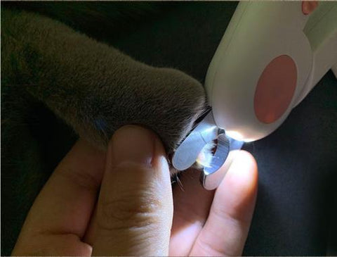 Cat Nail Clipper Trimmer with LED