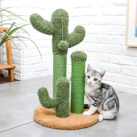 Cute Cactus Tree