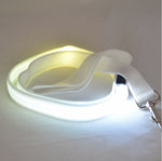 LED Glowing Leash